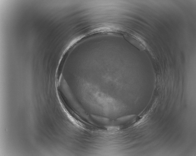 X0000058831034200510071815