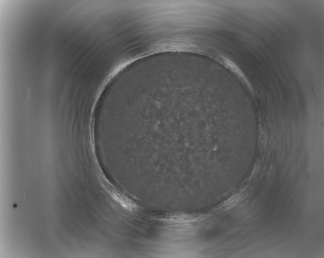 X0000058831035200510071815