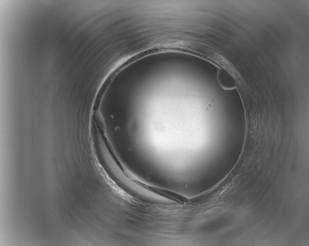 X0000058831036200510071816