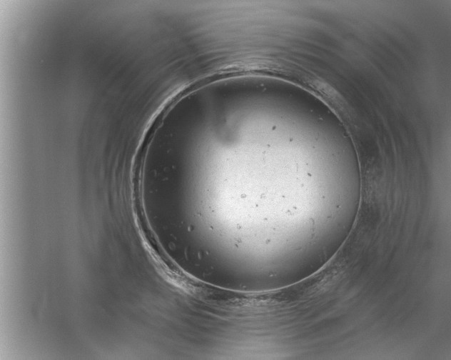 X0000058831039200510071816