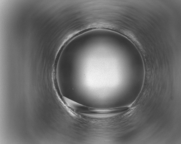 X0000058831040200510071816