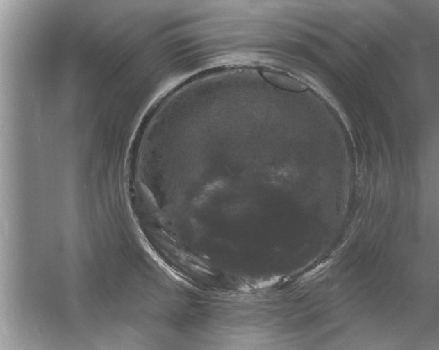 X0000058831045200510071816