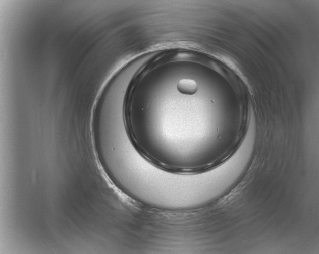 X0000058831046200510071816