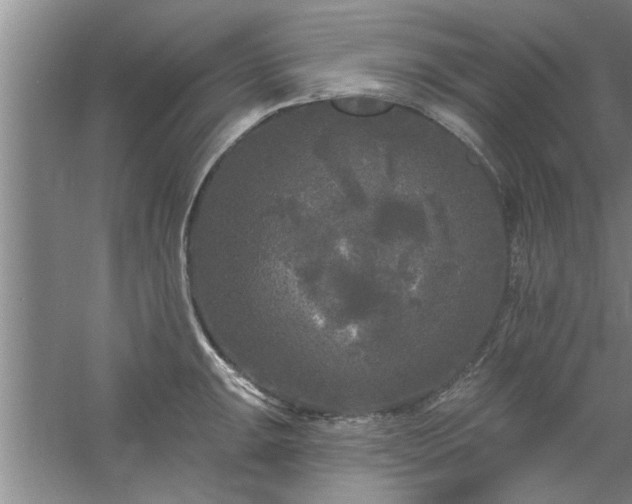 X0000058831047200510071816