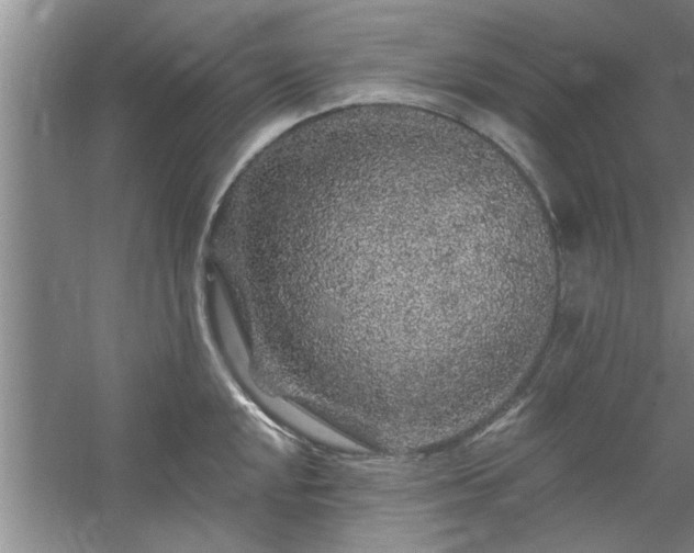 X0000058831048200510071816