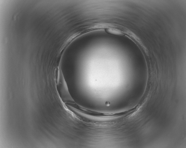 X0000058831049200510071816