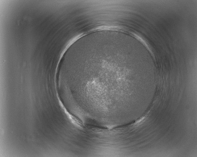 X0000058831050200510071816