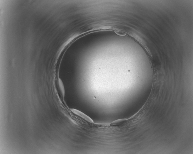 X0000058831051200510071816