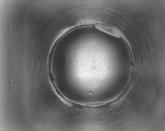 X0000058831053200510071816