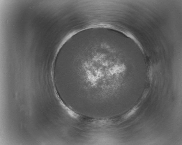 X0000058831054200510071816