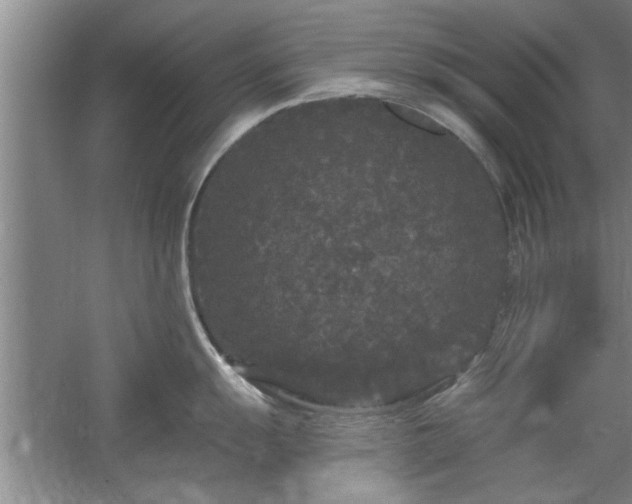 X0000058831055200510071816