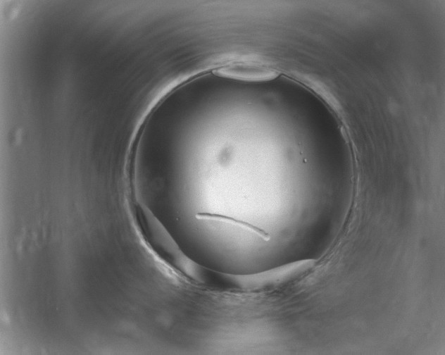 X0000058831056200510071816