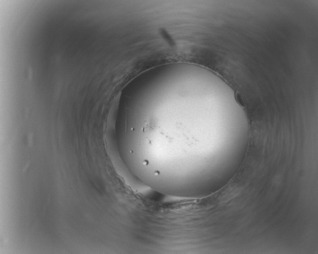 X0000058831057200510071815