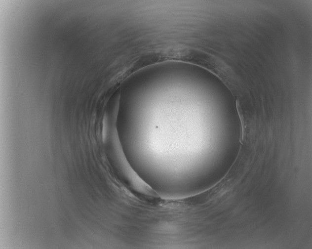 X0000058831058200510071815