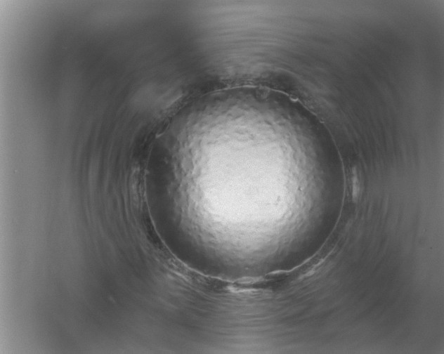 X0000058831059200510071815