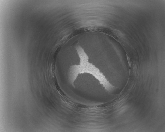 X0000058831060200510071815