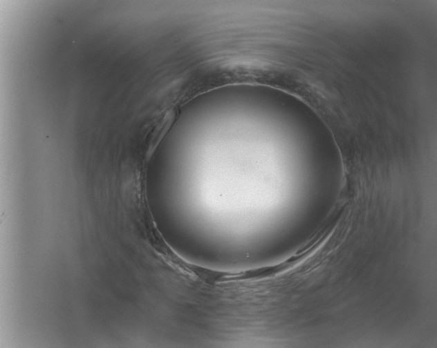 X0000058831061200510071815