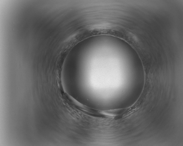 X0000058831062200510071815