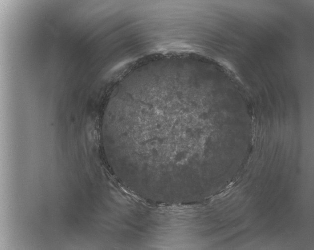 X0000058831063200510071815