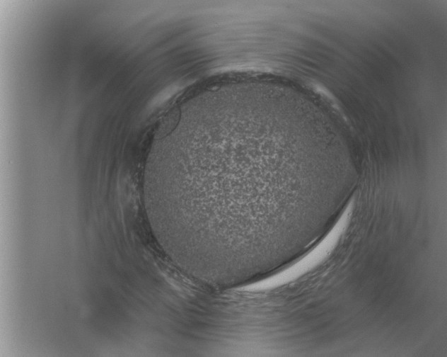 X0000058831064200510071815