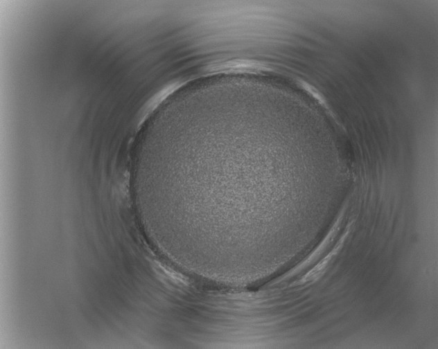 X0000058831066200510071815