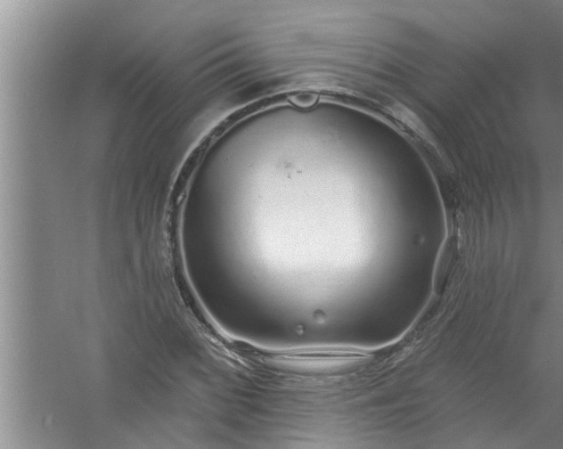 X0000058831068200510071815