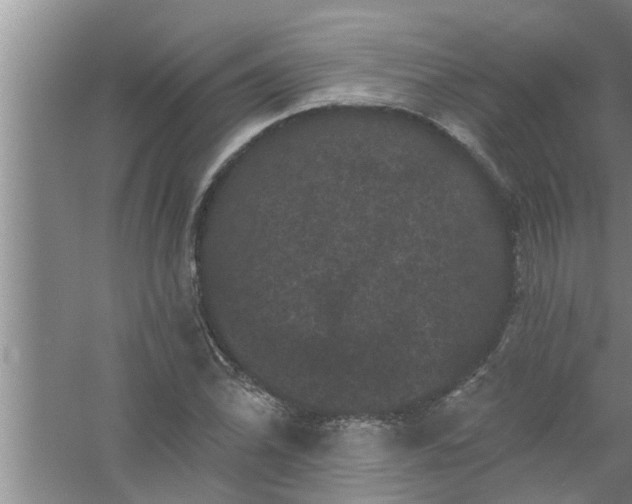 X0000058831070200510071815