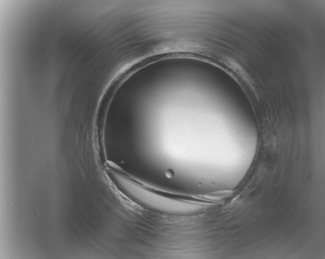 X0000058831072200510071815