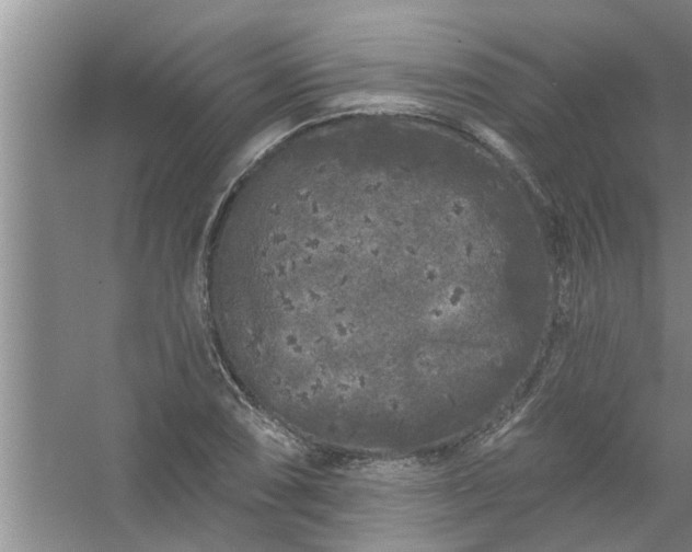 X0000058831074200510071815