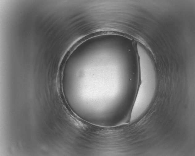 X0000058831076200510071815