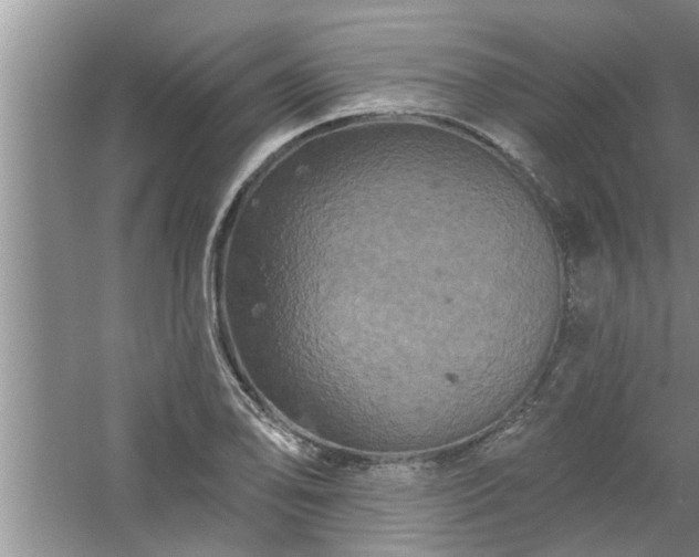 X0000058831078200510071815