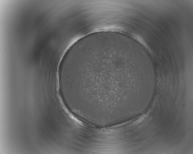 X0000058831079200510071815