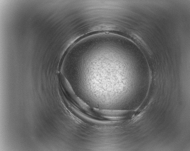 X0000058831081200510071815