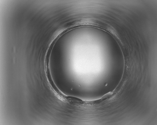 X0000058831082200510071815