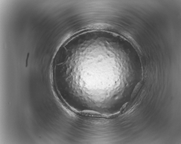 X0000058831083200510071815