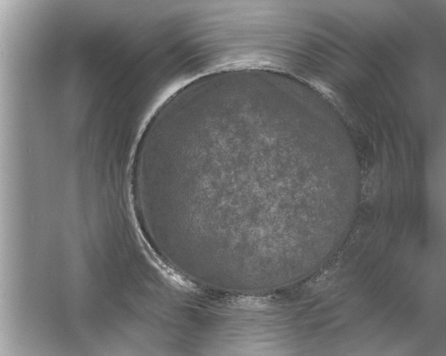 X0000058831086200510071815