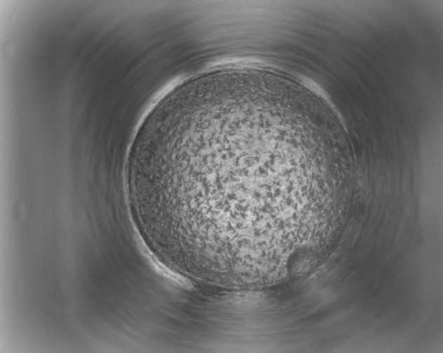 X0000058831090200510071814