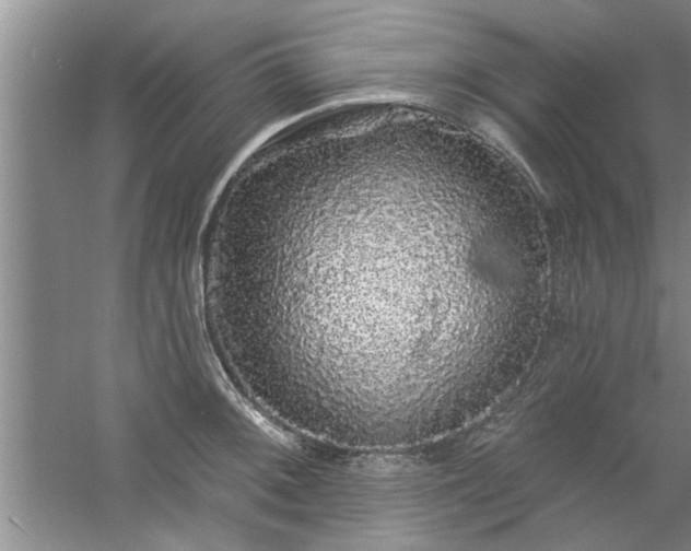 X0000058831092200510071814