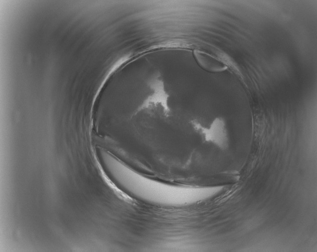 X0000058831095200510071814