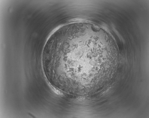 X0000058831098200510071814