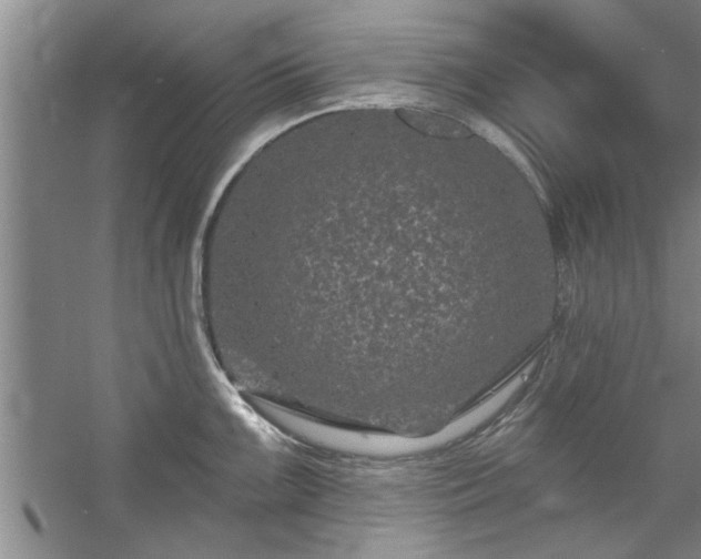 X0000058831099200510071814