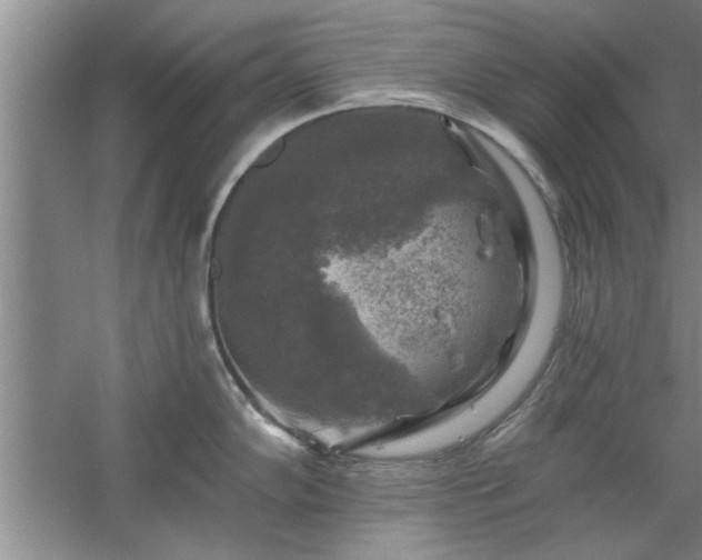 X0000058831102200510071814