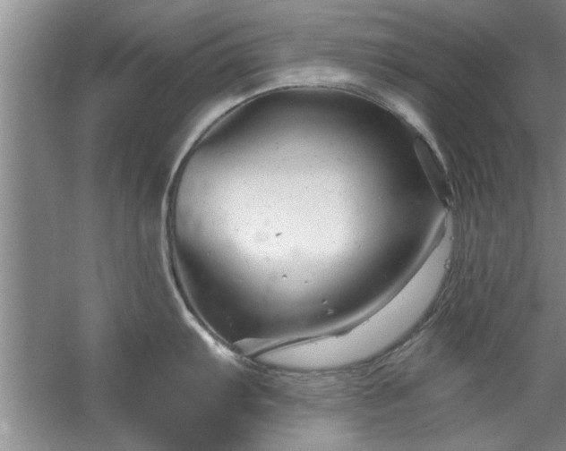 X0000058831103200510071814