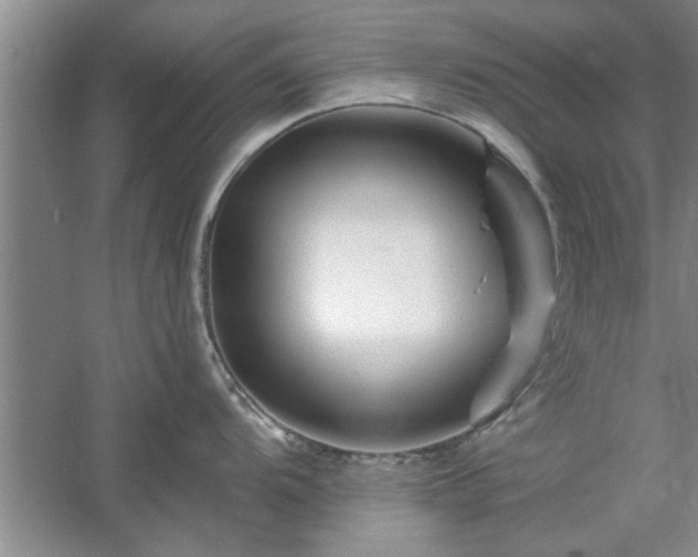 X0000058831104200510071814