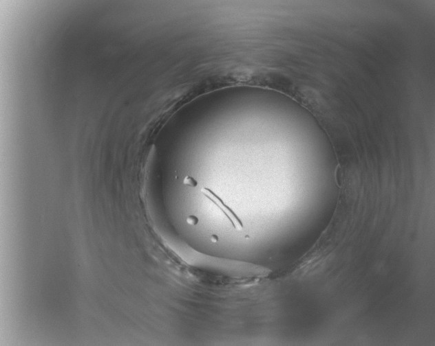 X0000058831105200510071813