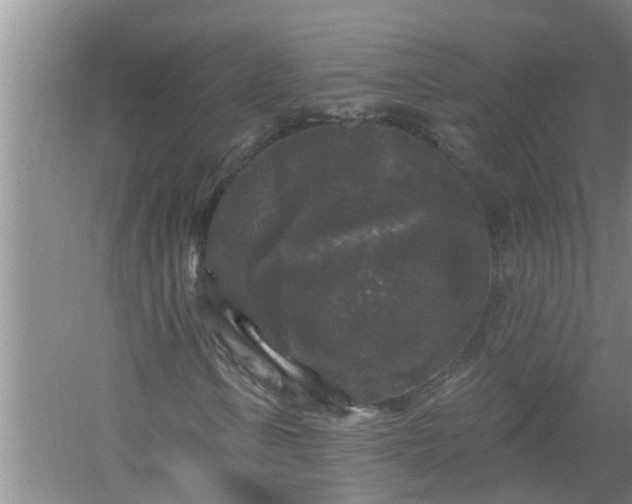 X0000058831106200510071813