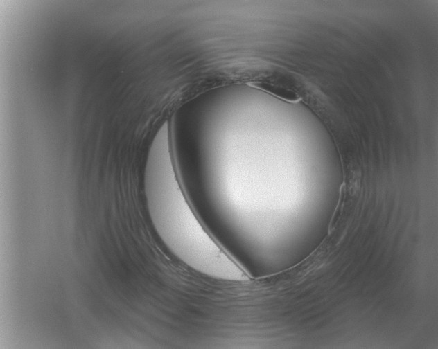 X0000058831108200510071813