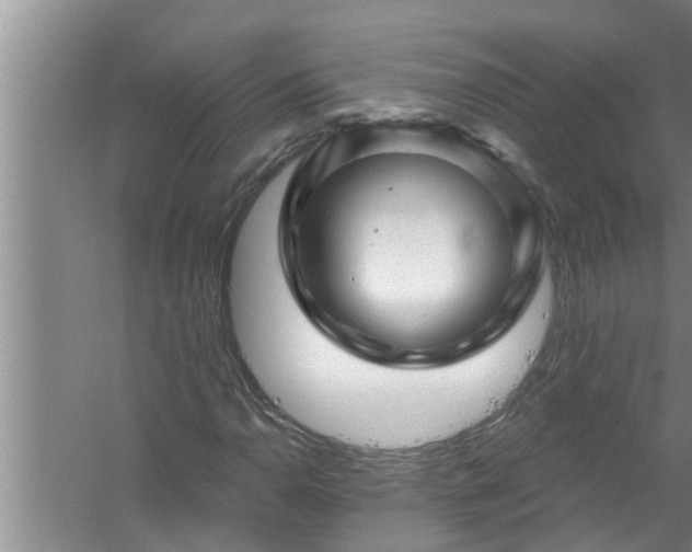 X0000058831110200510071813