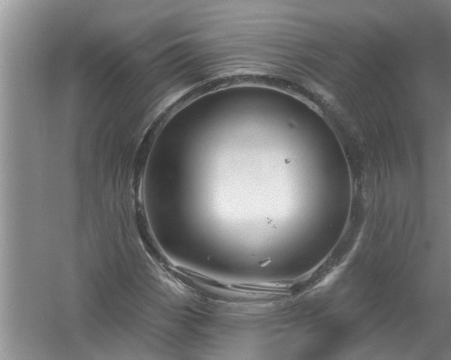 X0000058831113200510071814