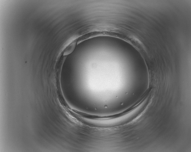 X0000058831114200510071814